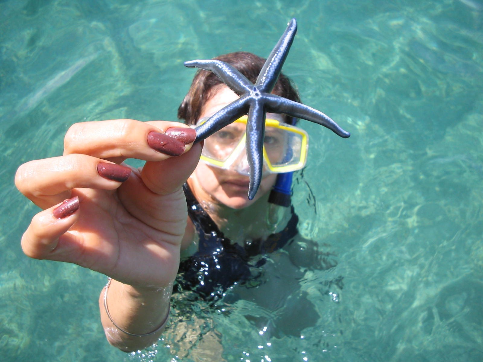 Snorkeling en la Isla